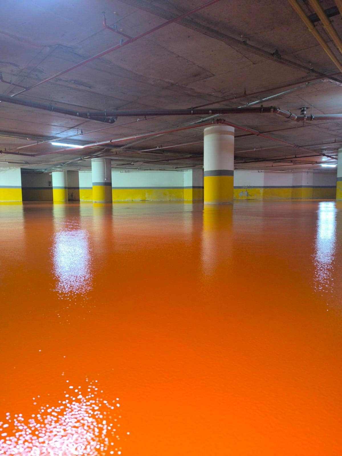 WhatsApp Image 2025-03-25 at 20.42.42