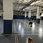 WhatsApp Image 2025-03-25 at 20.43.25 (3)