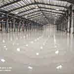 WhatsApp Image 2025-03-25 at 20.43.30