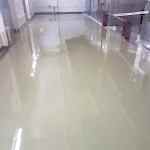 WhatsApp Image 2025-03-25 at 22.08.03