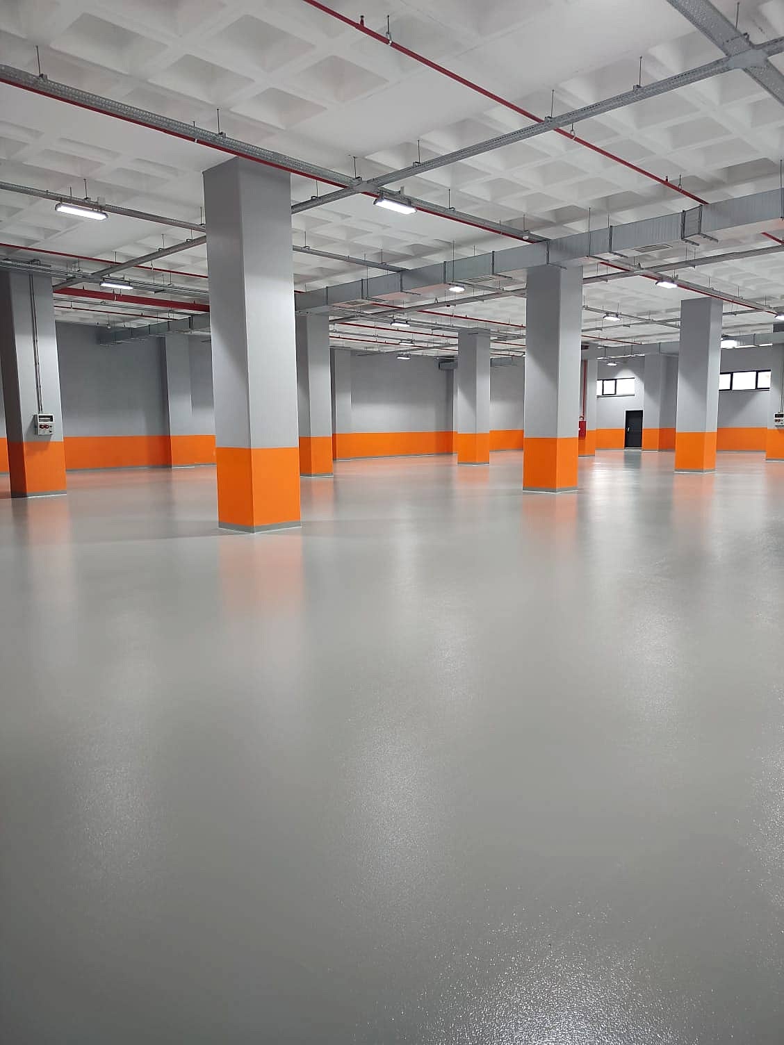 WhatsApp Image 2025-03-26 at 00.38.53